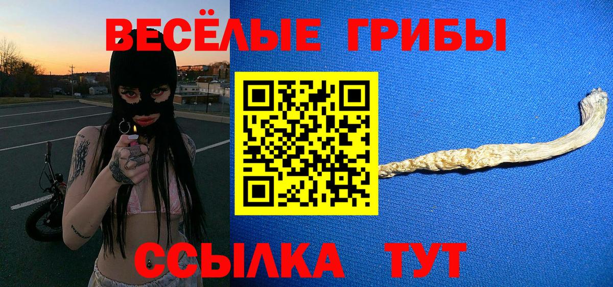 Знаменск  Галлюциногенные грибы Cubensis  Вход с VPN 