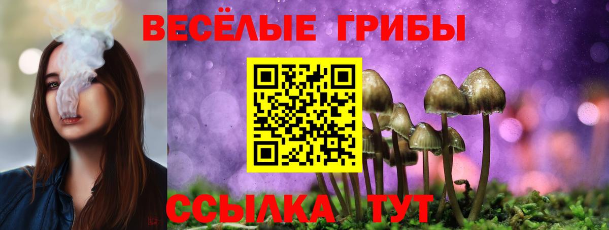 Псилоцибиновые грибы MAGIC MUSHROOMS Знаменск